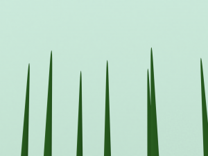 grass tall 3D Model