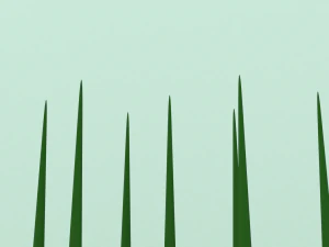 grass tall 3D Model