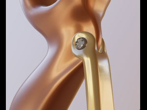 hook Model 3D