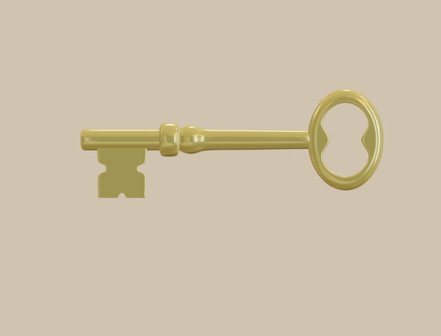 key 3D Model .c4d .max .obj .3ds .fbx .stl .blend 