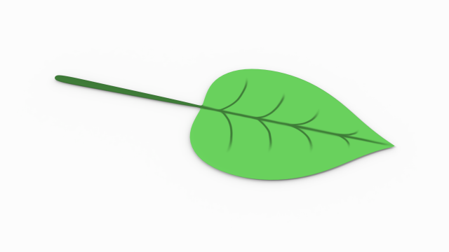 leaf 3Dモデル .c4d .max .obj .3ds .fbx .stl .blend 
