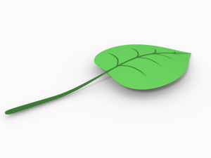 leaf 3Dモデル