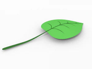 leaf 3D Model