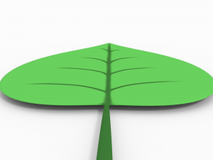 leaf 3Dモデル