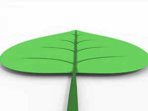 leaf 3D Model