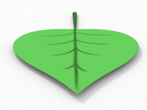 leaf 3Dモデル