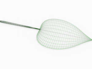 leaf 3Dモデル