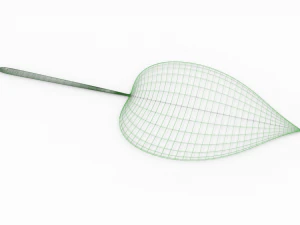 leaf 3D Model