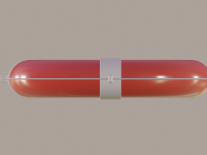 lifebuoy Modèle 3D