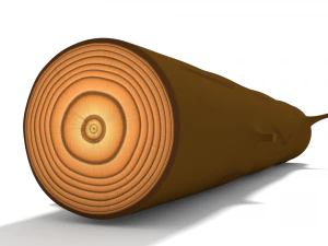 log 3D Model