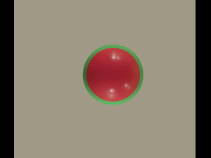 maracas 3D Model