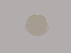 paint bucket 3D Model