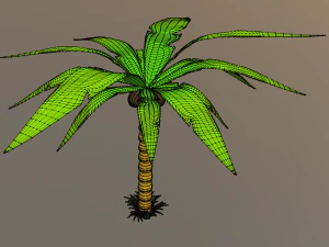 palm tree 3D Model