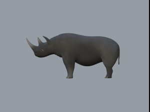 rhinoceros 3D Модель