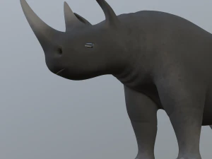 rhinoceros 3D Model