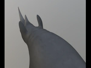 rhinoceros 3D Model