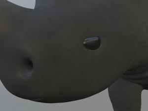 rhinoceros 3D Model