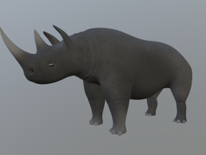 rhinoceros 3D Модель