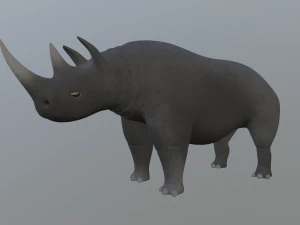 rhinoceros 3D Model