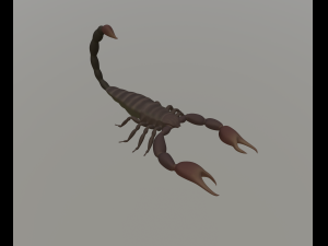 scorpion 3D 模型