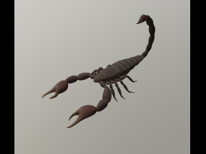 scorpion 3D Modell