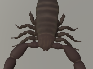 scorpion 3D Modell