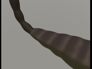 scorpion 3D Modell