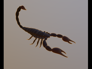 scorpion 3D Modell