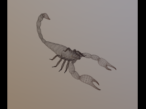 scorpion 3D Modell