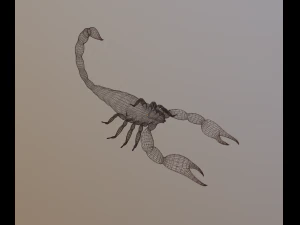 scorpion 3D Model