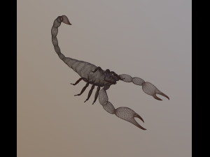 scorpion 3D Modell