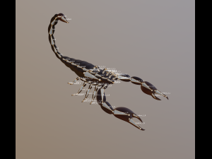 scorpion 3D Modell