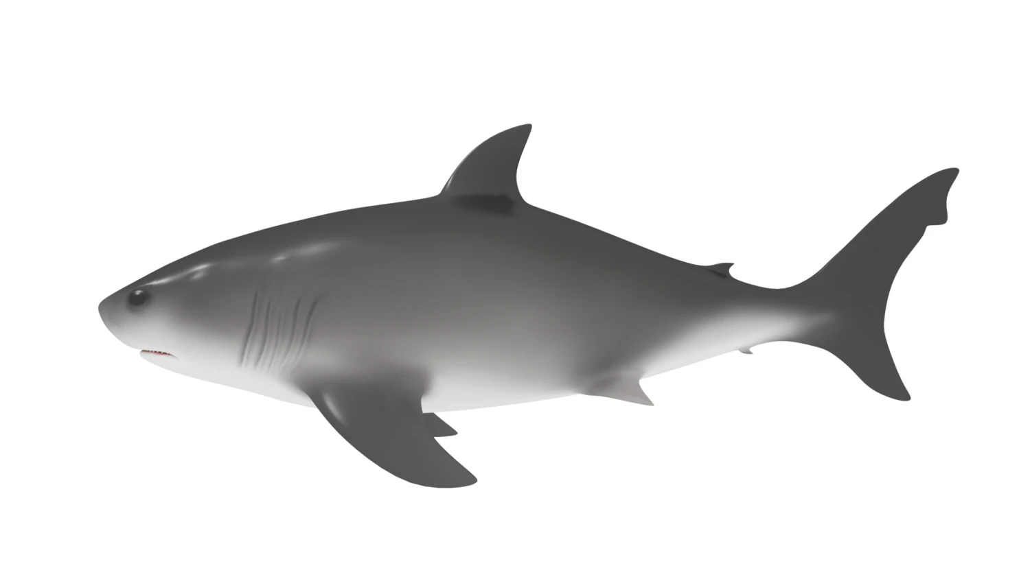 shark 3D Model .c4d .max .obj .3ds .fbx .stl .blend