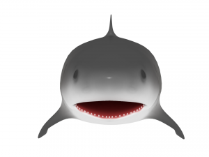 shark Modello 3D