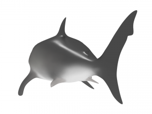 shark Modello 3D