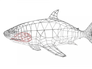 shark Modello 3D