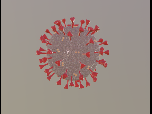 corona virus 3D 모델