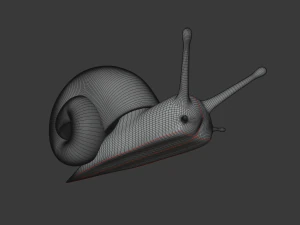 snail 3D Model