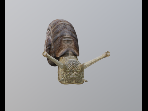 snail Modelo 3D