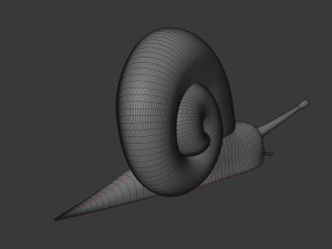 snail 3D Model