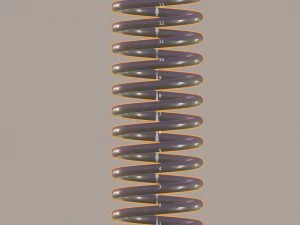 spiral 3D Model