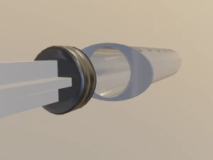 seringa Modelo 3D
