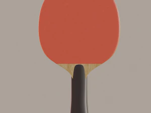 table tennis bat 3D Model