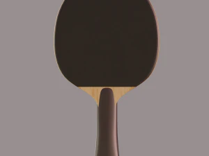 table tennis bat 3D Model