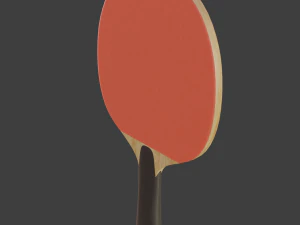 table tennis bat 3D Model