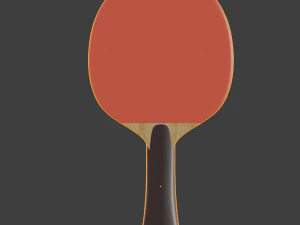 table tennis bat 3D Model