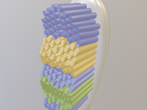 toothbrush 3D 모델