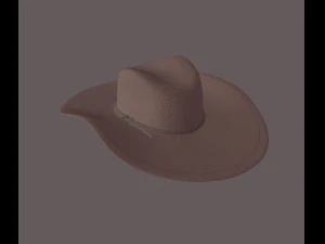 cowboy hat 3D Model