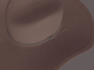cowboy hat 3D Model