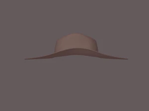 cowboy hat 3D Model